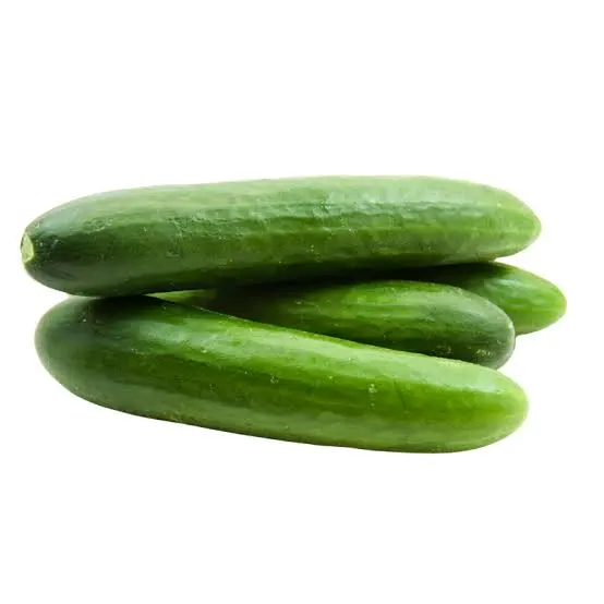 Ailuyst Cucumber Runner